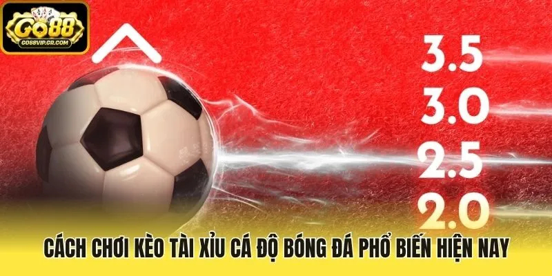 Cách chơi kèo Tài Xỉu cá độ bóng đá phổ biến hiện nay