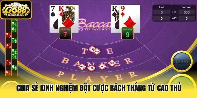 Chia sẻ kinh nghiệm đặt cược bách thắng từ cao thủ