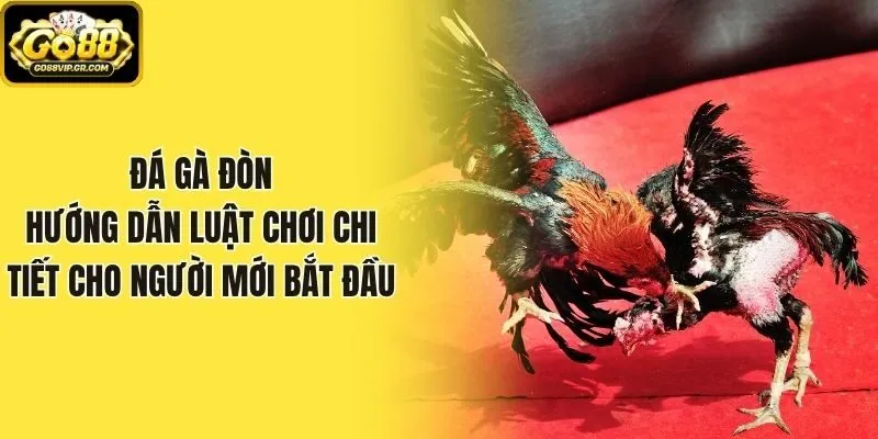 Đá Gà Đòn: Hướng Dẫn Luật Chơi Chi Tiết Cho Người Mới Bắt Đầu
