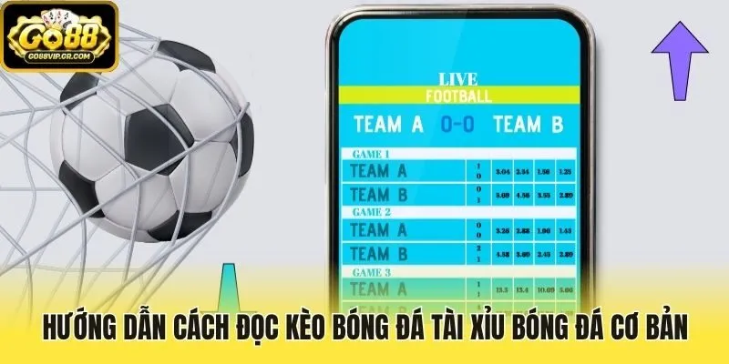 Hướng dẫn cách đọc kèo bóng đá Tài Xỉu bóng đá cơ bản