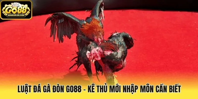 Luật đá gà đòn Go88 - Kê thủ mới nhập môn cần biết