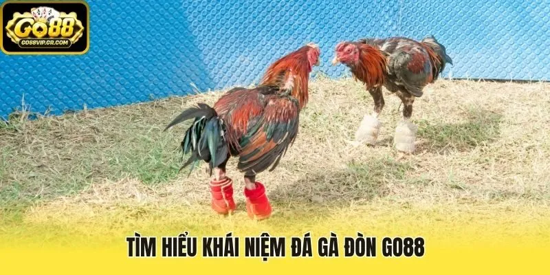 Tìm hiểu khái niệm đá gà đòn Go88